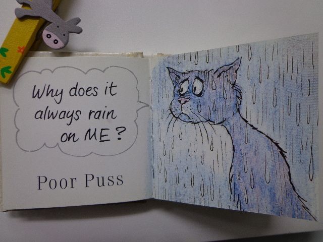猫（ねこ）は雨と水が苦手？