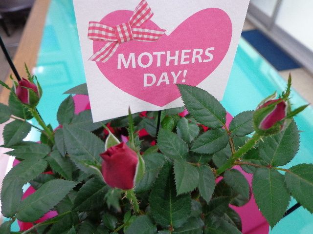 「母の日」～お母さんに感謝の気持ちを伝える日