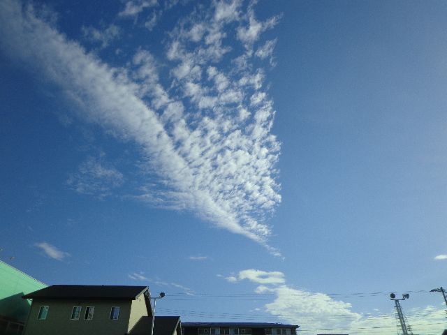 夏の空に浮かぶ雲 変化を楽しもう