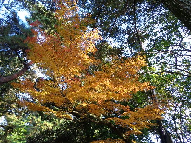 秋～紅葉の美しい季節