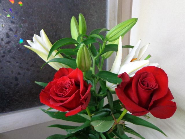 「希望の党」小池百合子さんに合わせてユリの花