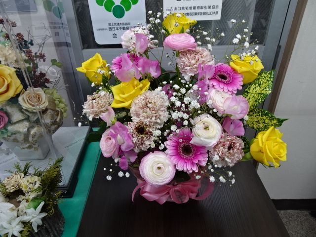 今日3月12日(土)思いがけなくお花を頂きました。朝から曇りで一日中太陽が見られませんでしたがお花が入ってきた途端に事務所の中が明るくなりました。私はお花がニコニコしているので嬉しくなりました。